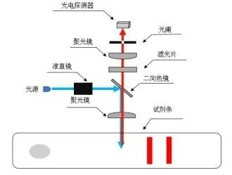 共聚光路原理圖