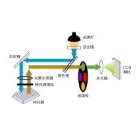 什么是熒光定量PCR、數(shù)字PCR？