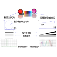 線性漸變?yōu)V光片是什么？有何特點？